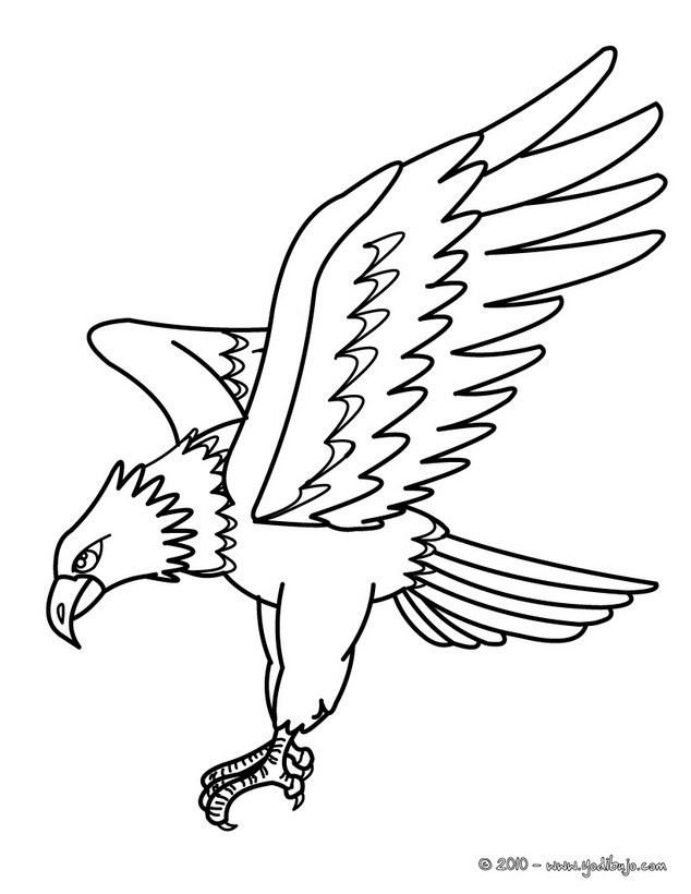 aguila arpia para colorear dibujo de retrato de águila harpía para colorear dibujos arpia colorear para aguila 