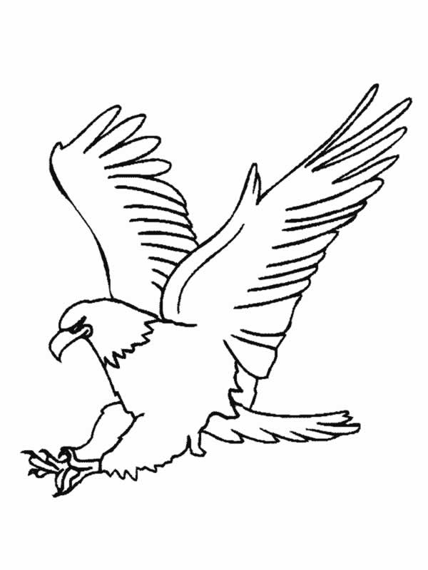 aguila arpia para colorear dibujo de Águila harpía americana para colorear dibujos arpia para colorear aguila 