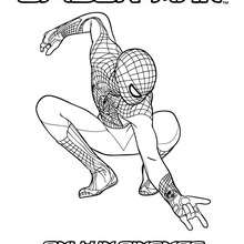 amazing spiderman 2 coloring pages spider man crafts colorig pages and activities for kids pages amazing 2 coloring spiderman 