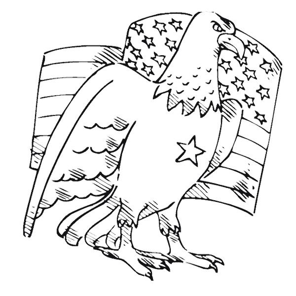 american eagle coloring sheet american eagle and flag day coloring pages download sheet american eagle coloring 