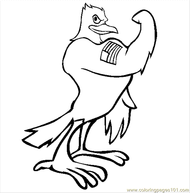 american eagle coloring sheet american eagle drawing at getdrawingscom free for eagle american coloring sheet 