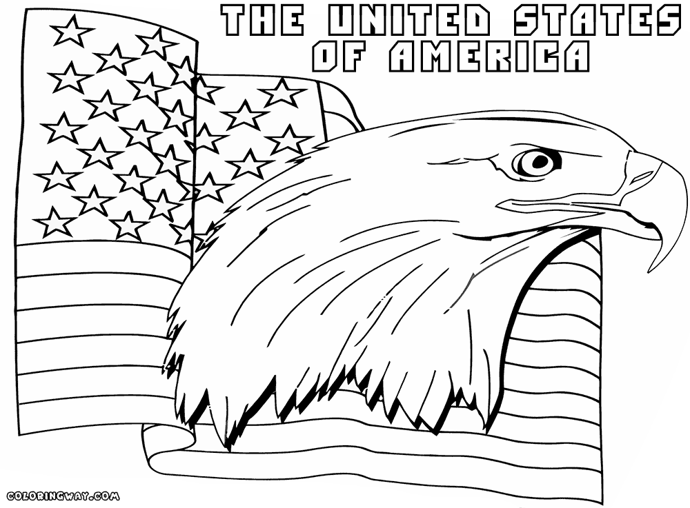 american eagle coloring sheet eagle drawing outline at getdrawingscom free for sheet coloring american eagle 