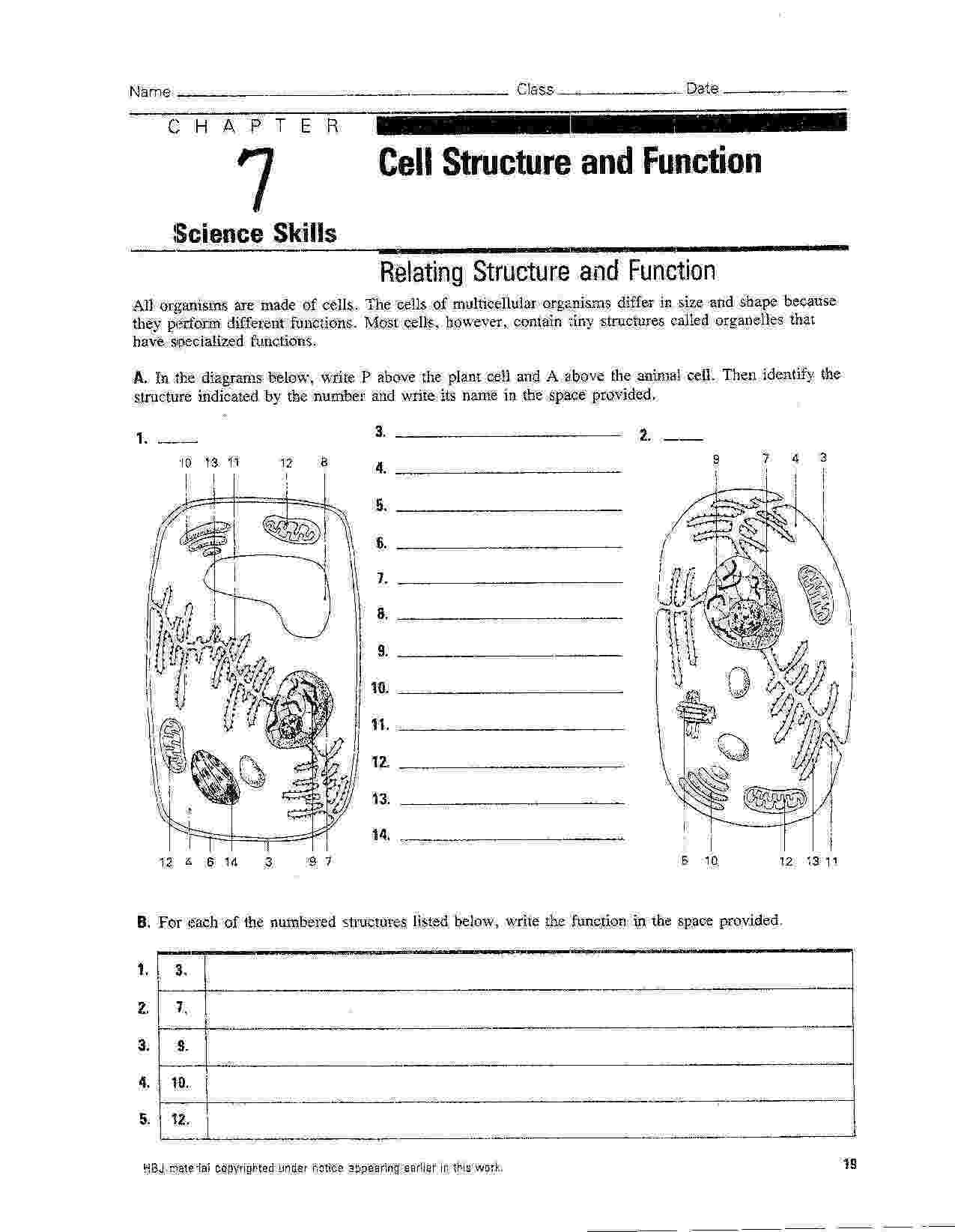 animal cell coloring packet bioart teaching resources teachers pay teachers cell packet animal coloring 