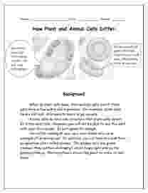 animal cell coloring packet cells and their organelles 6th 12th grade worksheet cell animal packet coloring 