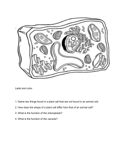 animal cell coloring packet parts of a plant cell science vocabulary worksheet cell coloring animal packet 