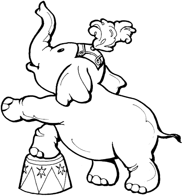 animal coloring pages elephant elephant coloring pages sheets pictures coloring pages animal elephant 