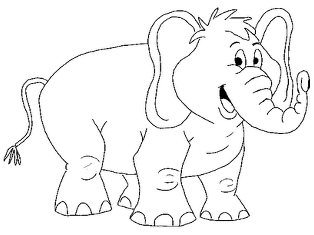 animal pictures to color adult coloring pages animals best coloring pages for kids pictures animal color to 