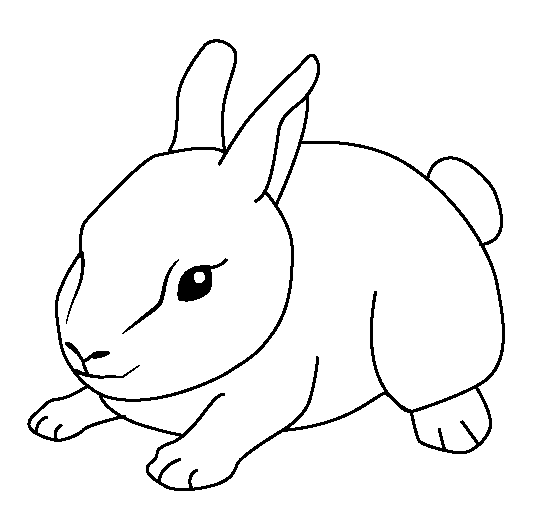 animal pictures to color free printable ocean coloring pages for kids pictures color animal to 