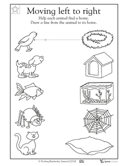 animal printables for kindergarten animal worksheet new 18 animal habitat worksheet grade 3 for kindergarten animal printables 