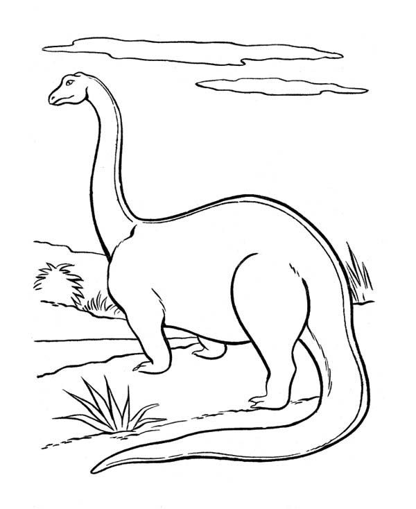 apatosaurus coloring page brontosaurus coloring worksheets coloring pages page apatosaurus coloring 