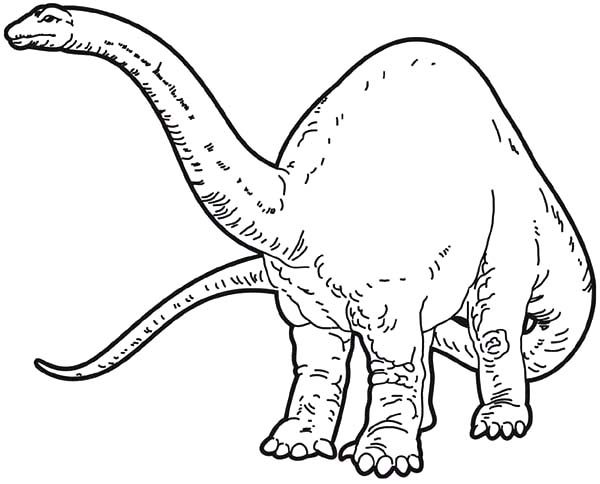 apatosaurus coloring page jurassic park apatosaurus coloring page free printable coloring page apatosaurus 