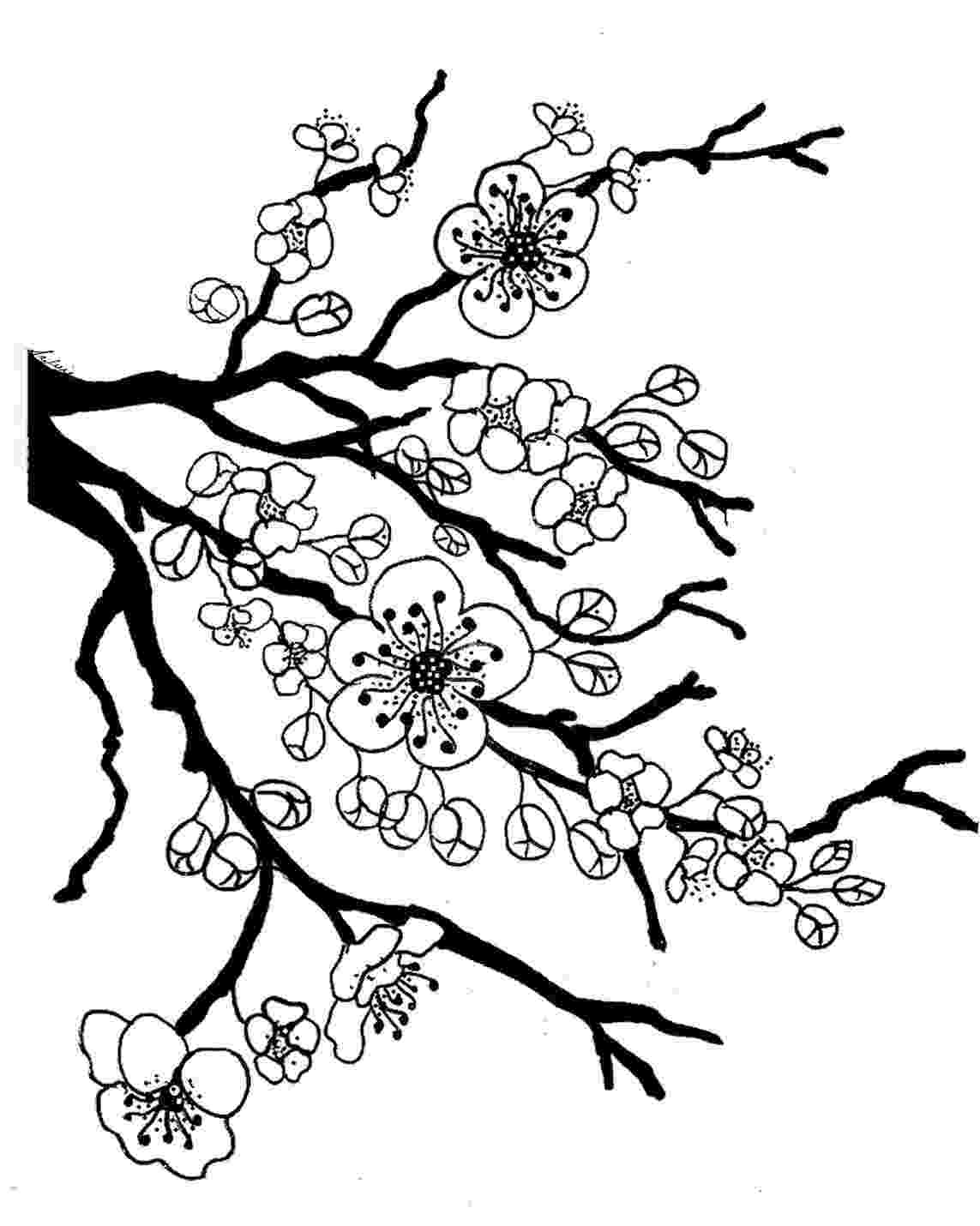 apple blossom coloring page s hopkins apple blossom coloring page coloring pages apple page coloring blossom 
