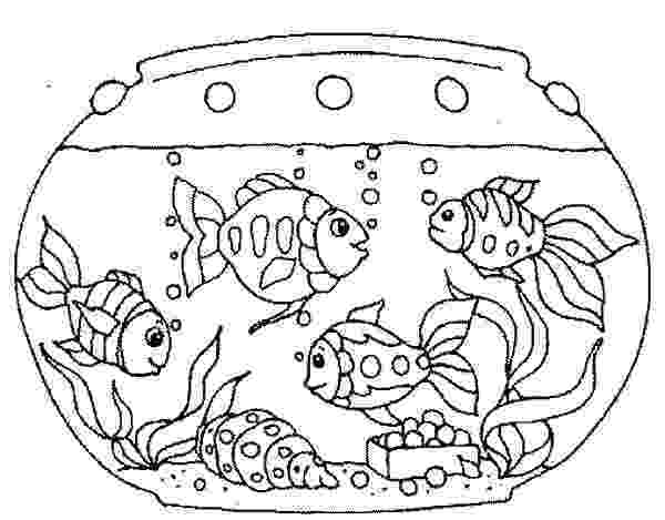aquarium coloring pages various fish inside fish tank coloring page netart aquarium pages coloring 
