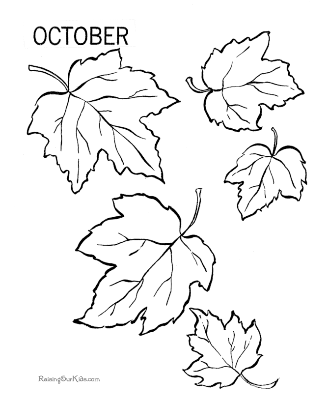 autumn leaves pictures to colour autumn leaves in autumn coloring page color luna colour to leaves pictures autumn 