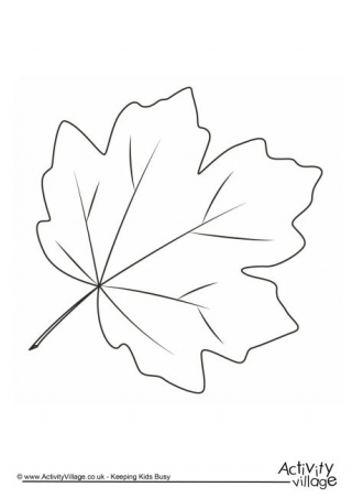 autumn leaves pictures to colour autumn lights picture autumn leaves coloring pages colour autumn to leaves pictures 