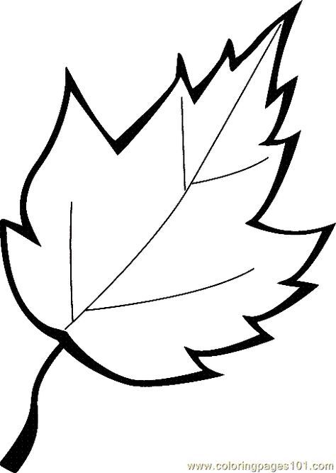 autumn leaves pictures to colour fall coloring pages learny kids to pictures colour autumn leaves 