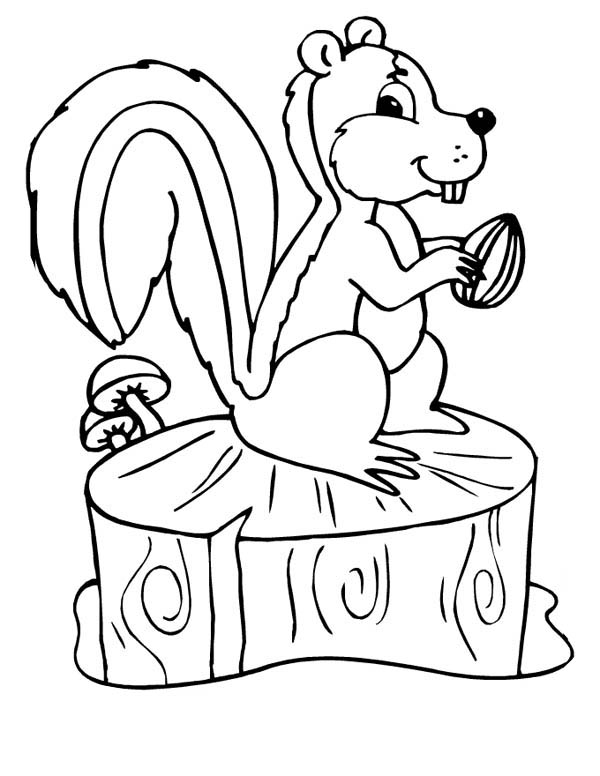 autumn season coloring pages fall coloring pages 360coloringpages coloring season pages autumn 