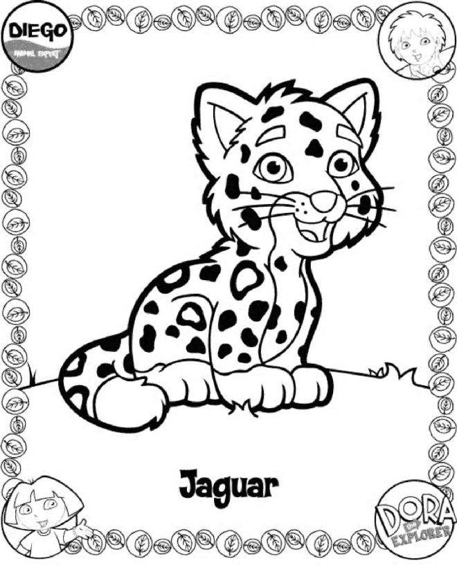 baby jaguar coloring pages 229 best coloring pages for kids images on pinterest coloring jaguar baby pages 