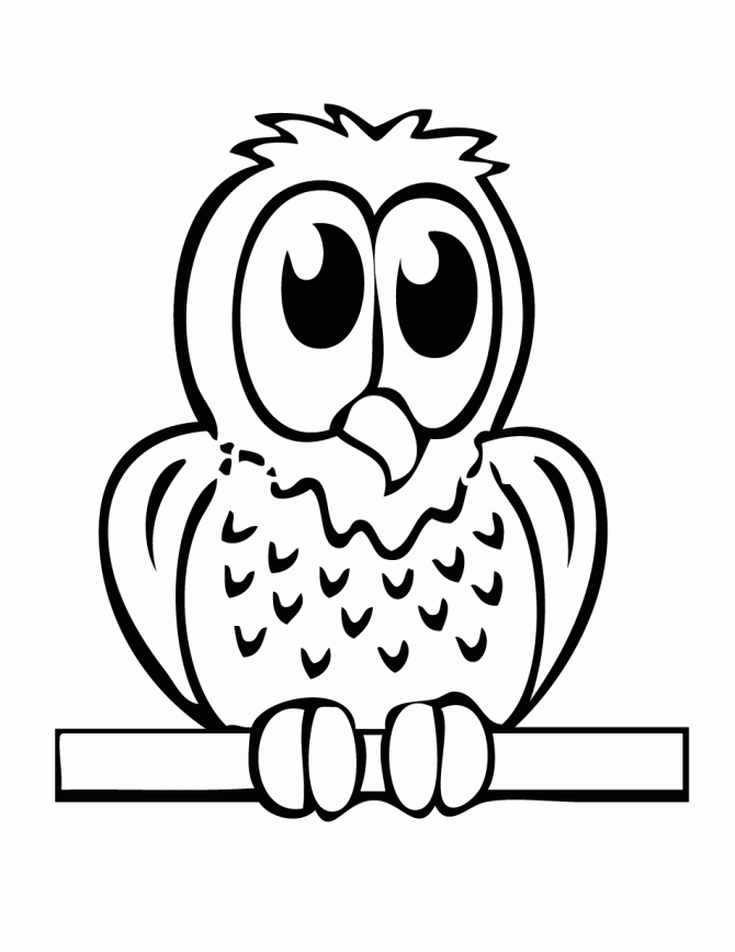 baby owl coloring pages cute baby owl coloring pages coloring home pages baby owl coloring 