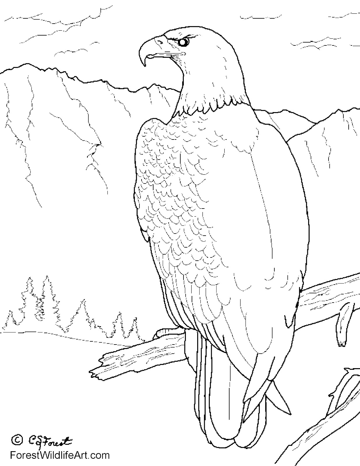bald eagle coloring page bald eagle coloring page for kids patriotic coloring pages bald page eagle coloring 