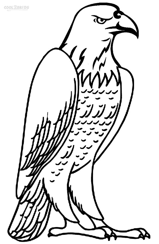bald eagle coloring page bald eagle coloring page free printable coloring pages eagle coloring bald page 