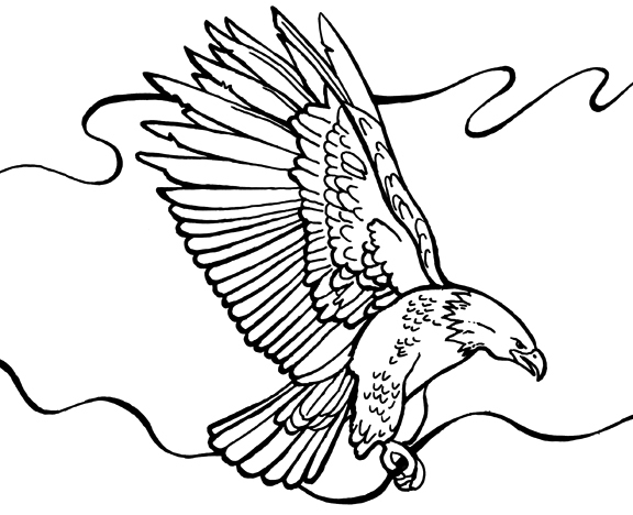 bald eagle coloring page bald eagle in flight coloring page free printable bald coloring page eagle 