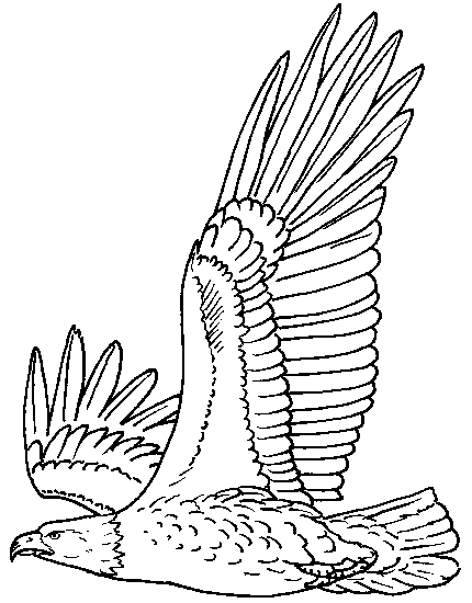 bald eagle coloring page eagle coloring pages getcoloringpagescom bald page eagle coloring 