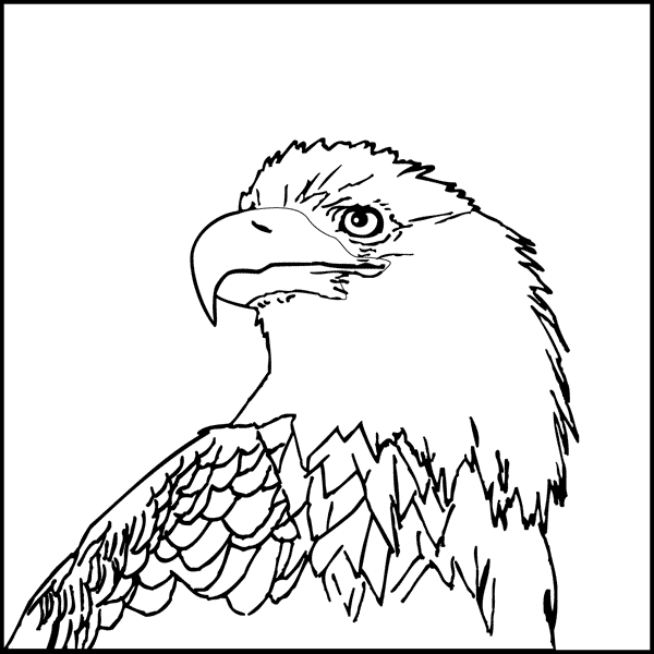 bald eagle coloring page free printable bald eagle coloring pages for kids bald eagle page coloring 