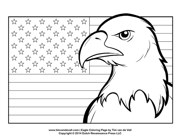 bald eagle coloring page rules of the jungle printable pictures of bald eagle bald eagle coloring page 