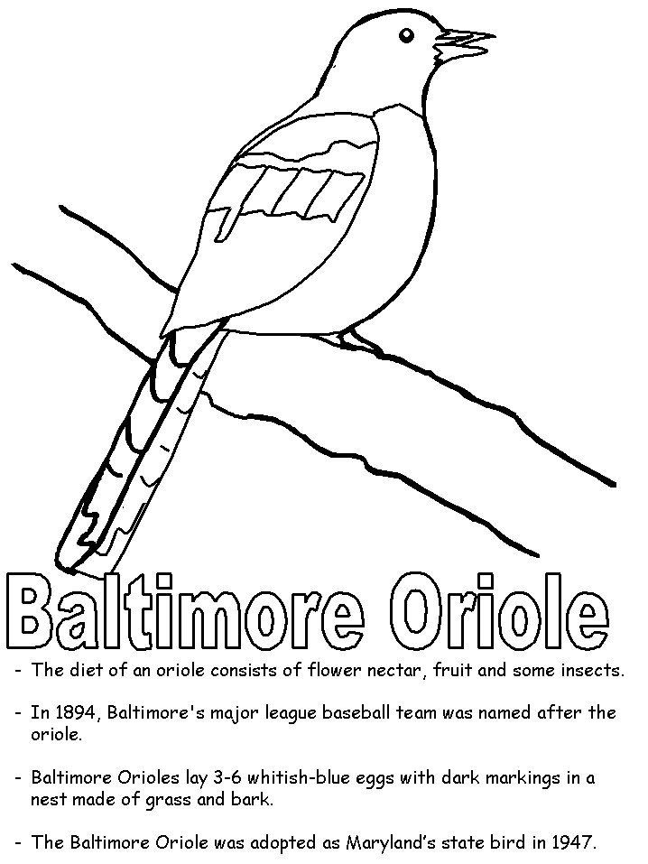 baltimore orioles coloring pages baltimore ravens drawing at getdrawings free download baltimore pages coloring orioles 