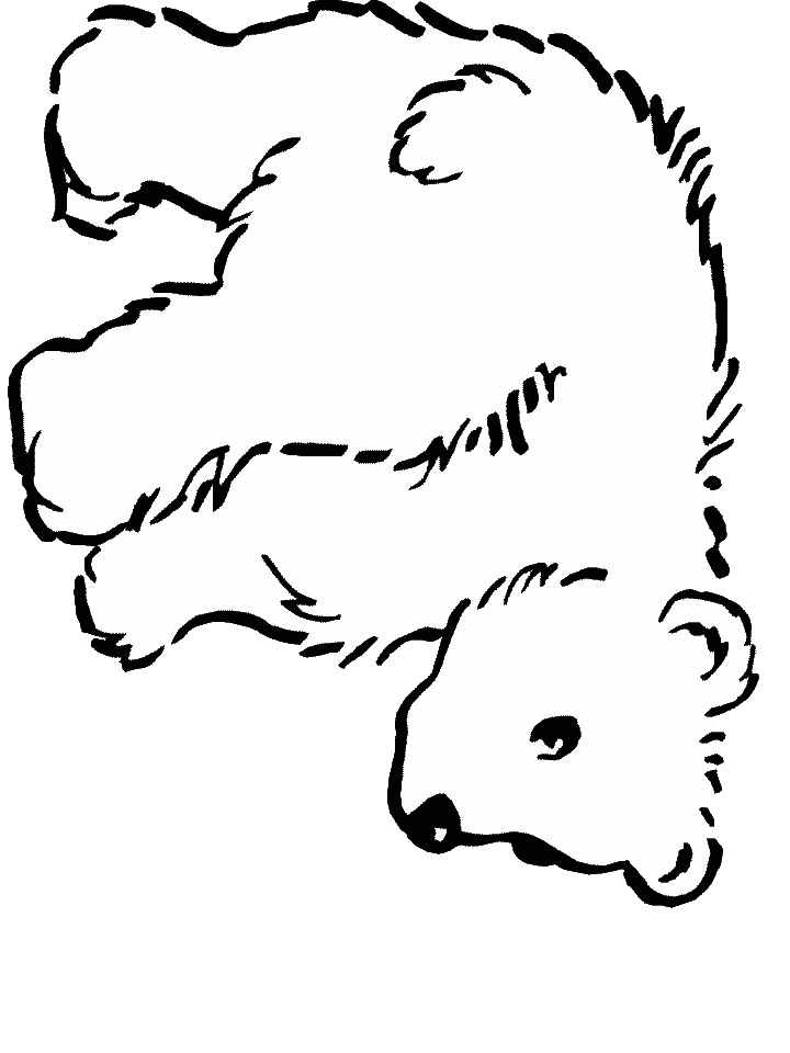 bear cub coloring pages animals cubs related keywords suggestions animals cubs bear pages coloring cub 