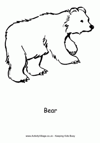 bear cub coloring pages baby animals coloring pages free printable pictures bear cub pages coloring 