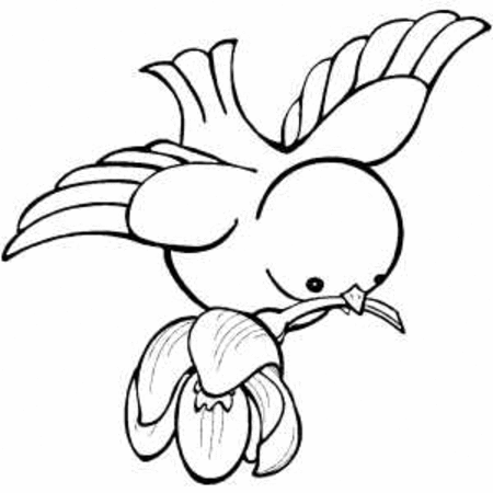 bird coloring pages baby bird coloring pages getcoloringpagescom coloring bird pages 
