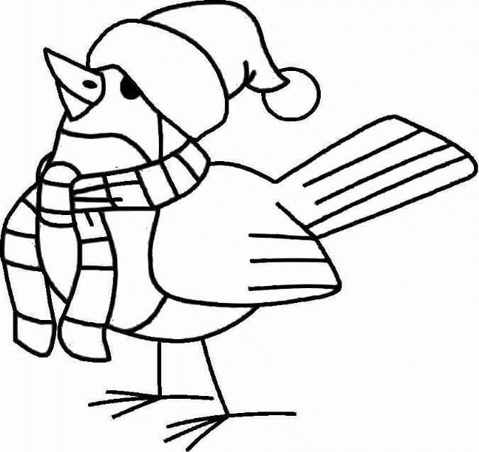 bird coloring pages birds coloring pages coloring pages bird 