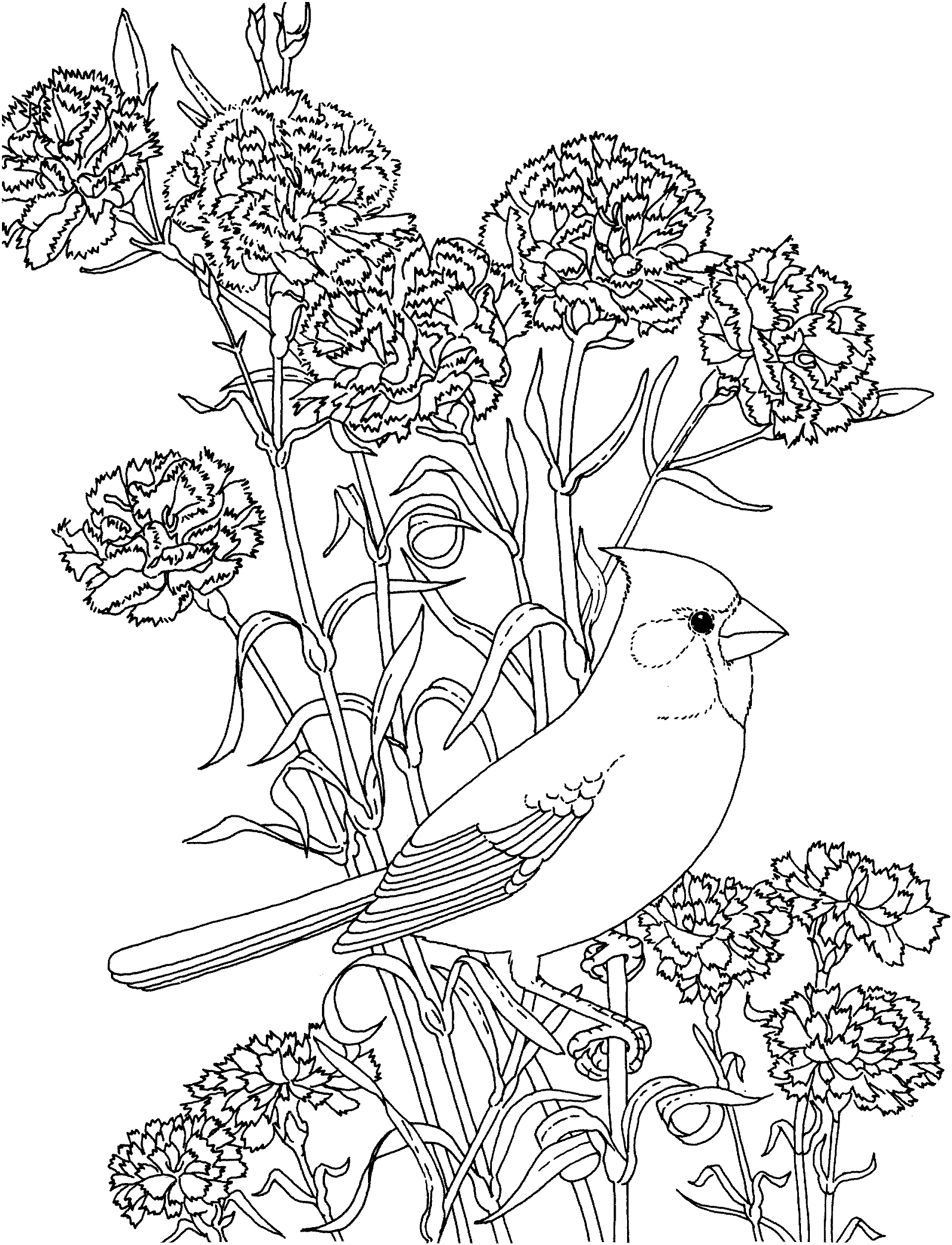 birdsandblooms coloring book birds and flowers spring coloring page favecraftscom book birdsandblooms coloring 