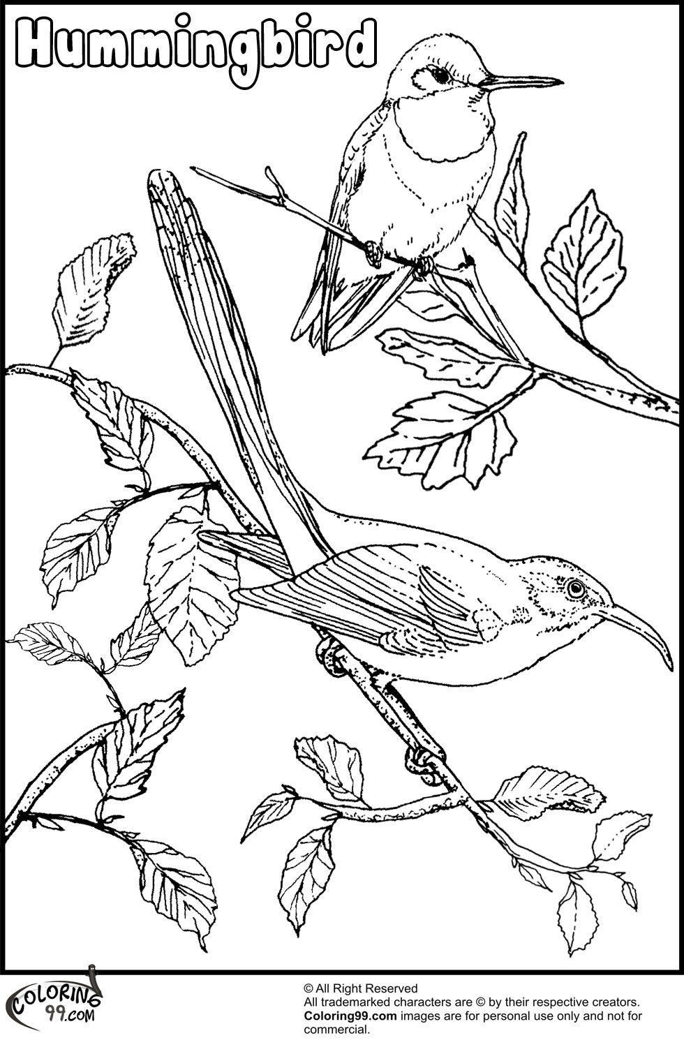 birdsandblooms coloring book dibujo de llanero alipálido y aquilegia ave y flor del book coloring birdsandblooms 
