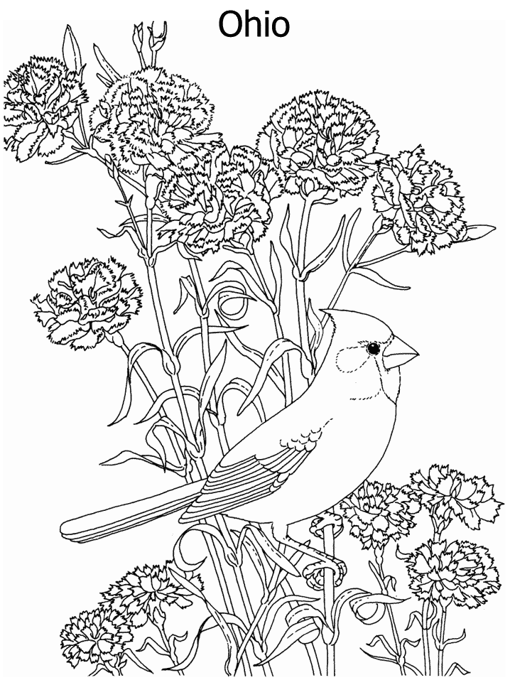 birdsandblooms coloring book flower coloring pages for adults printable sunday coloring birdsandblooms book 