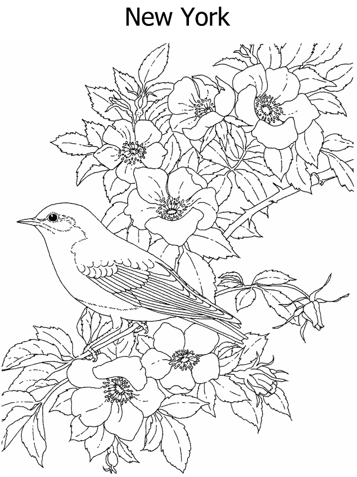 birdsandblooms coloring book pin by marci peterson on adult coloring pages flower book birdsandblooms coloring 