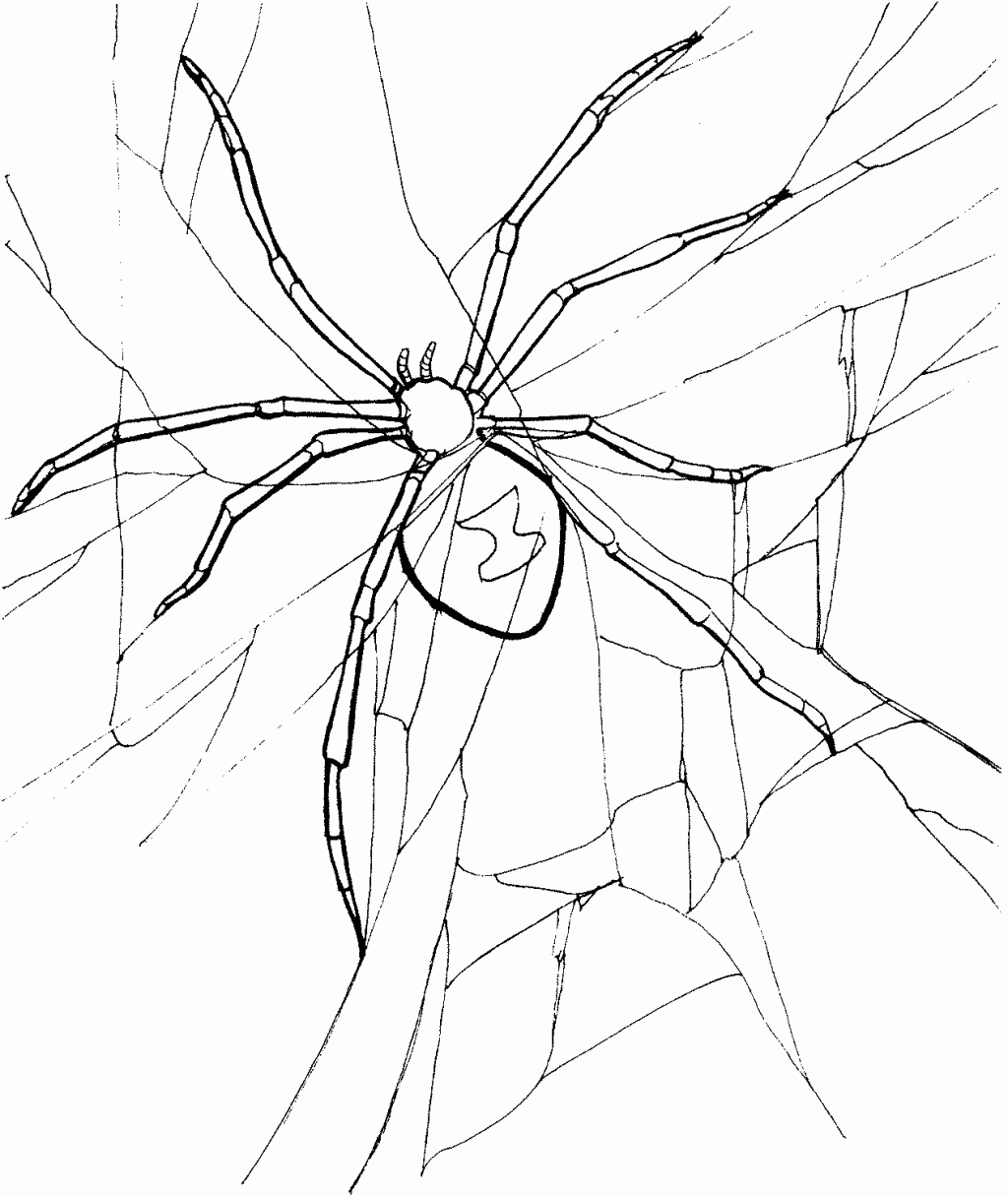 black widow spider coloring page free printable spider coloring pages for kids page black widow spider coloring 
