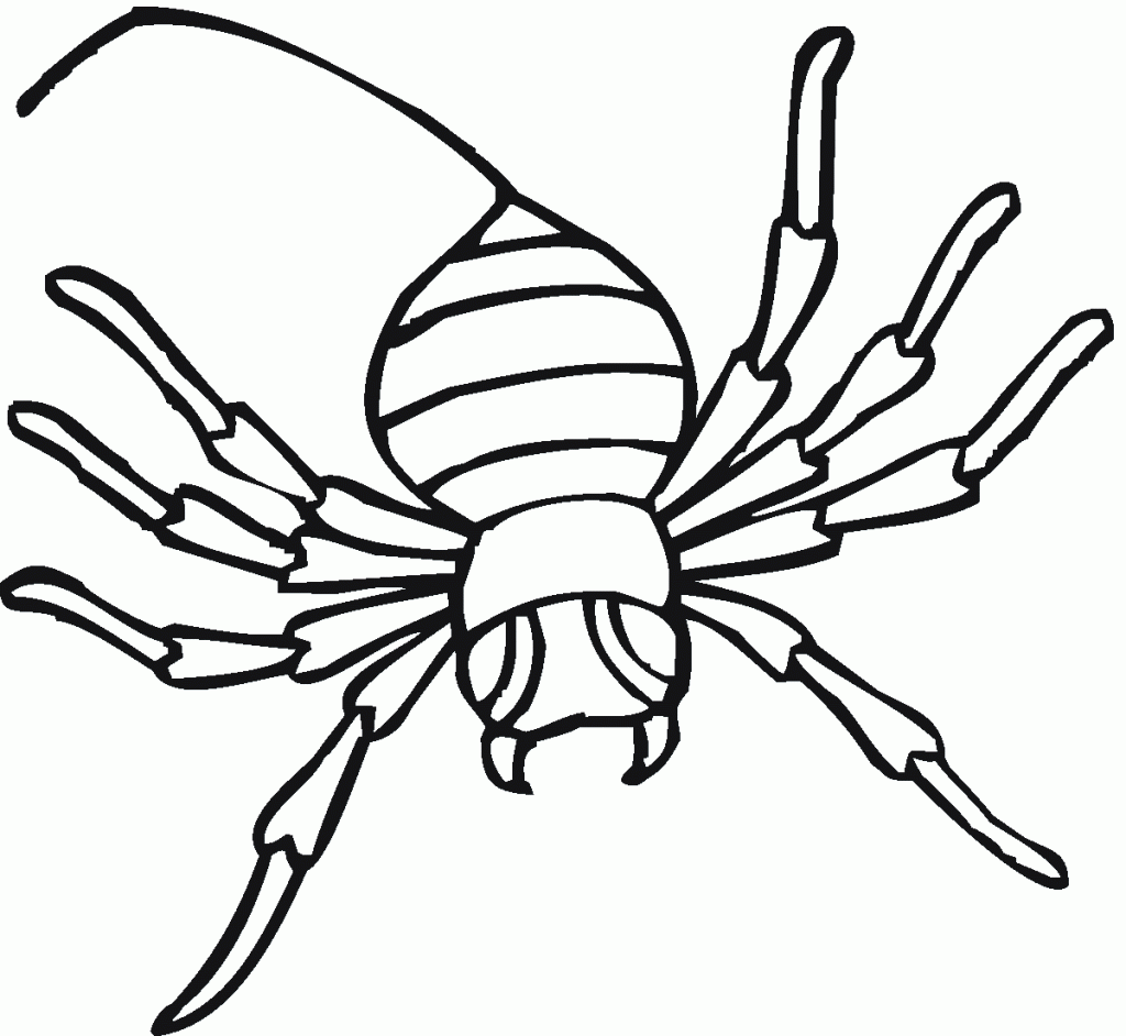 black widow spider coloring pages black widow spider coloring pages spider pages black widow coloring 