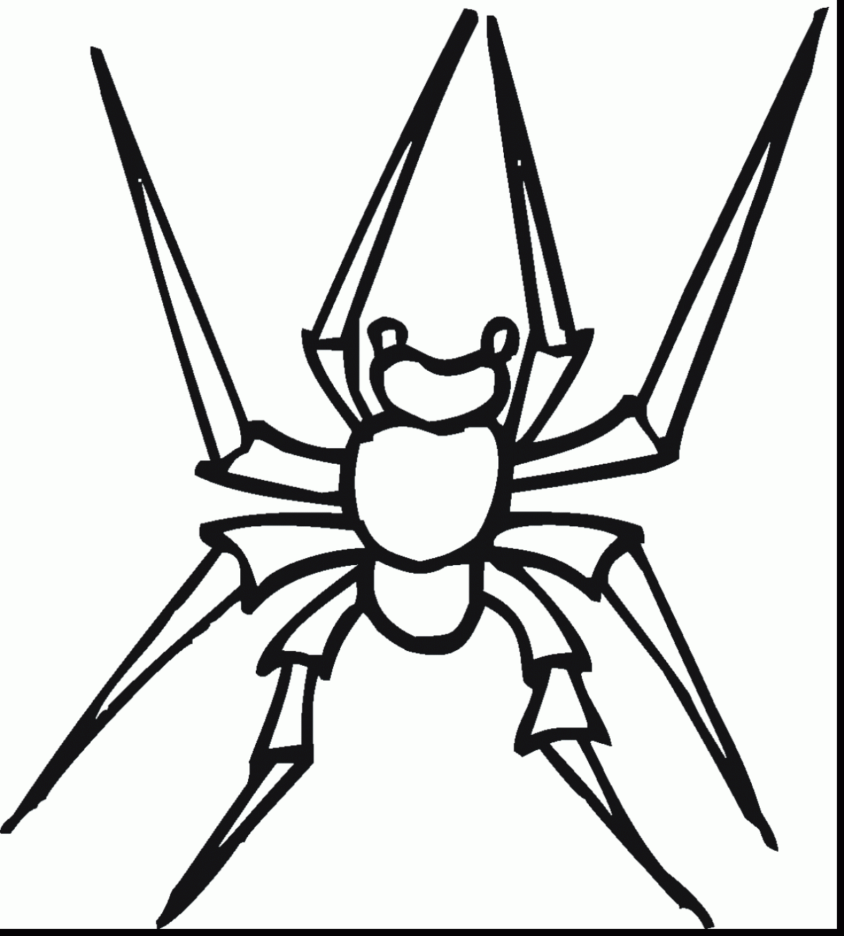 black widow spider coloring pages black widow spider drawing at getdrawingscom free for spider widow coloring black pages 