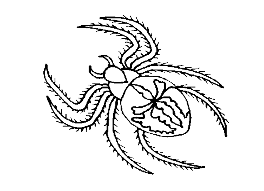 black widow spider coloring pages free printable spider coloring pages for kids black widow coloring pages black spider widow 