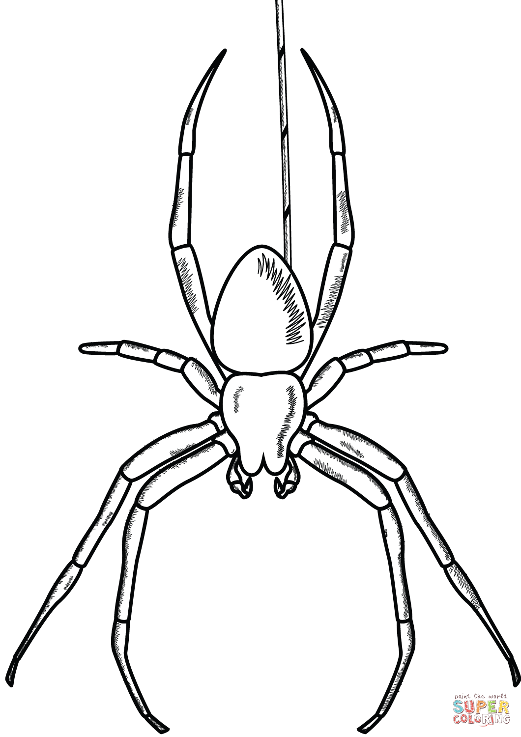 black widow spider coloring pages spiders coloring pages supercoloringcom spider coloring pages black widow 