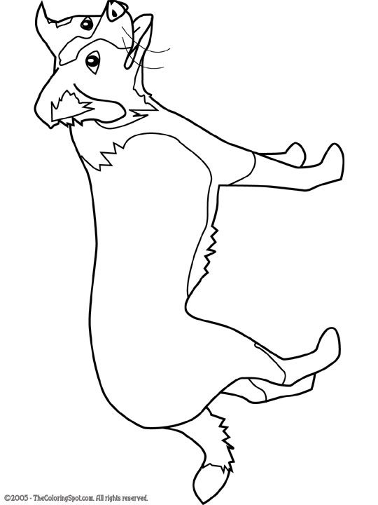 border collie pictures to color border collie coloring pages dog coloring page dog color to collie pictures border 