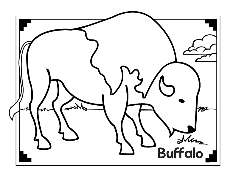 buffalo coloring sheet african buffalo coloring page animals town animal coloring sheet buffalo 