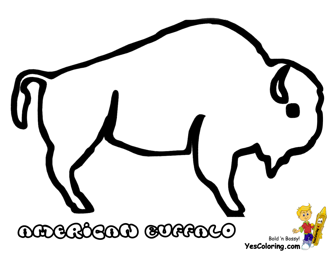 buffalo coloring sheet bison coloring pages getcoloringpagescom coloring buffalo sheet 