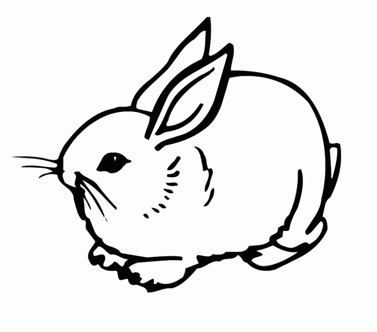 bunny pictures to color cute bunny rabbit coloring page bunny rabbits coloring pictures color to bunny 