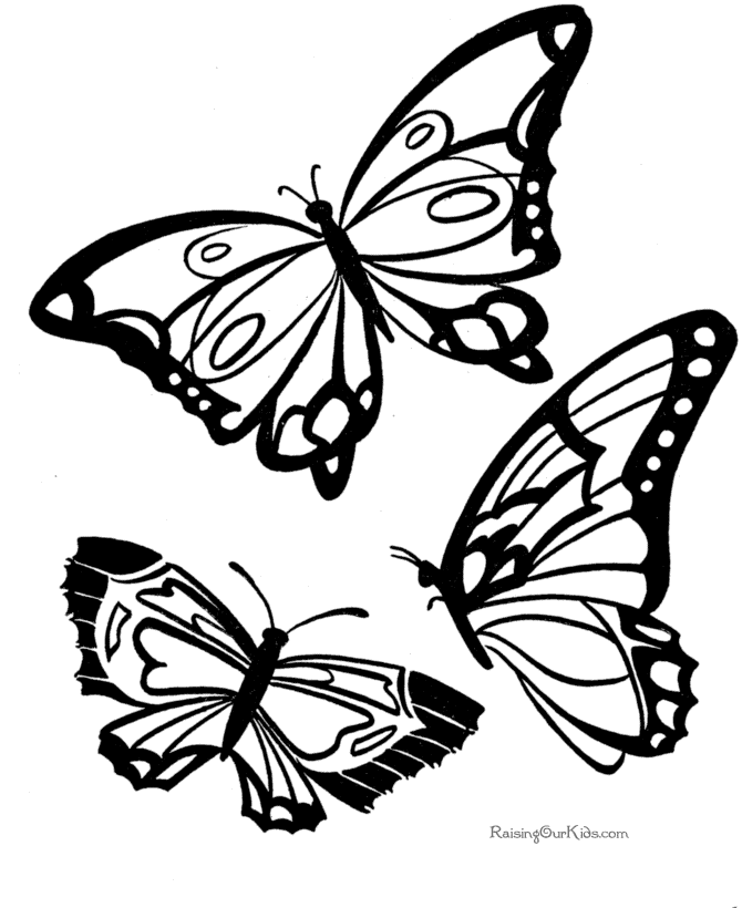 butterflies to color free printable adult coloring pages butterflies color butterflies to 