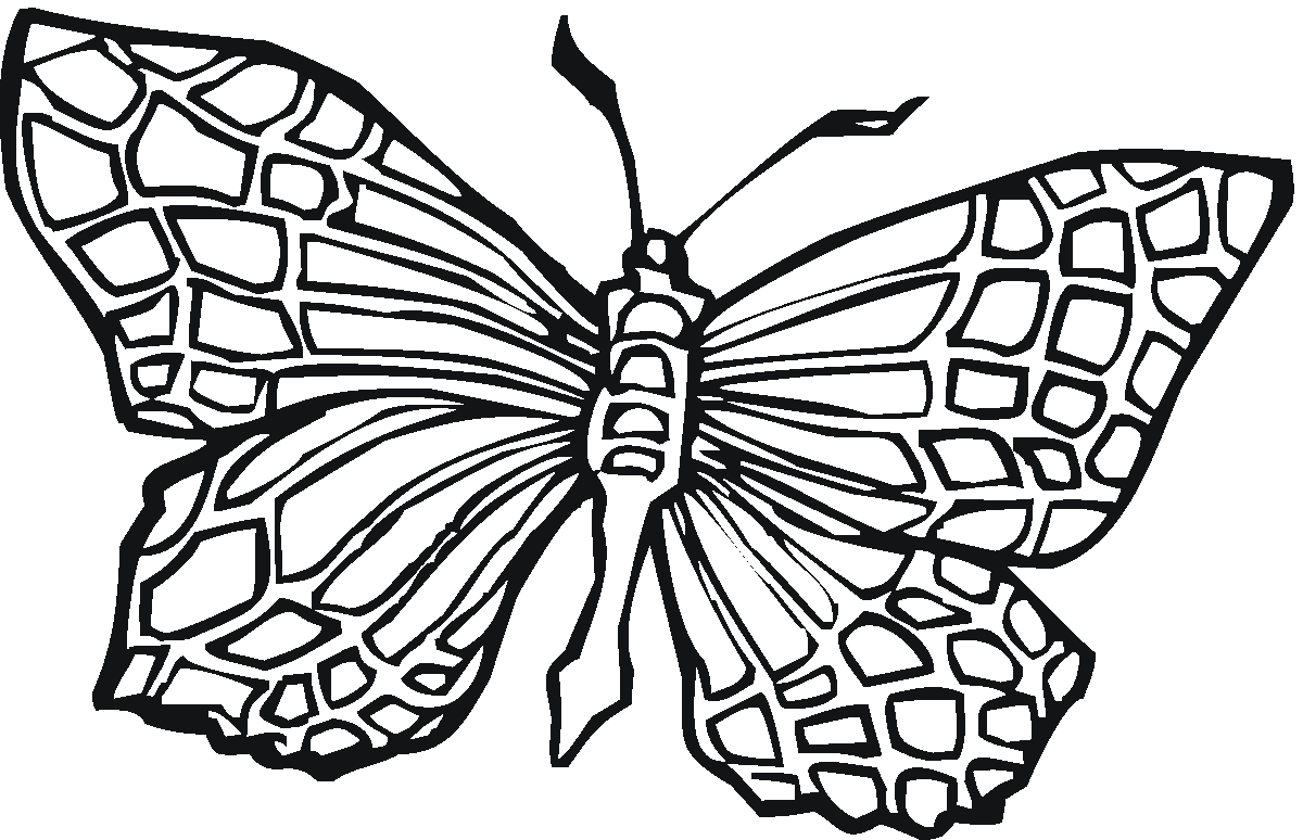 butterflies to color free printable butterfly coloring pages for kids to butterflies color 
