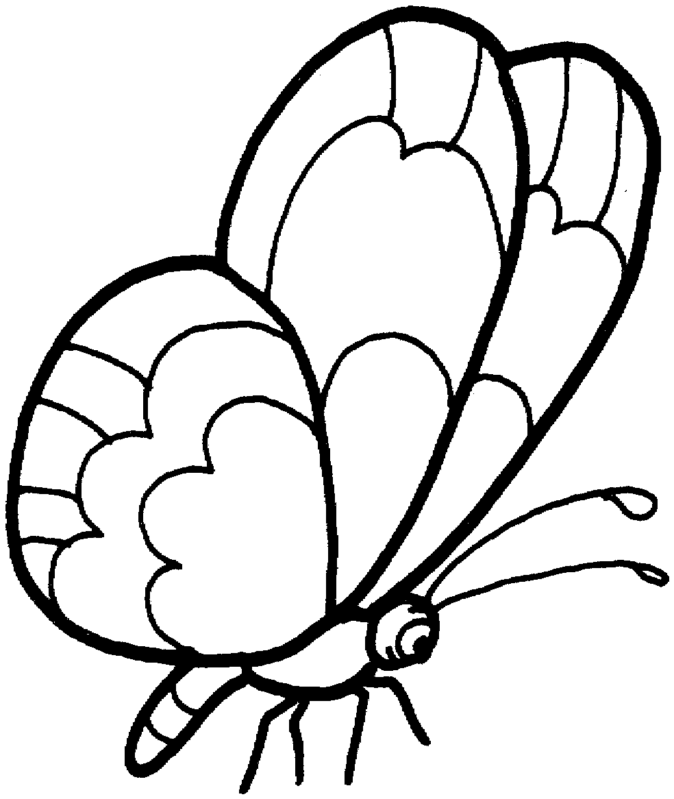 butterfly color sheets beautiful butterfly coloring pages skip to my lou color sheets butterfly 